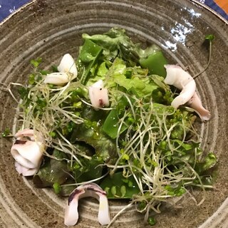 水イカレシピ 作り方の人気順 簡単料理の楽天レシピ 水イカレシピ 作り方の人気順 簡単料理の楽天レシピ